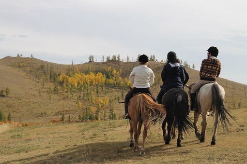Монголия Улан-Батор степь экскурсия лошади