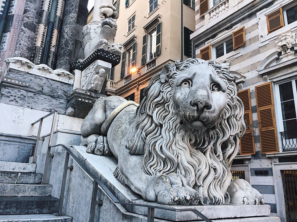 лев в италии генуя фото города