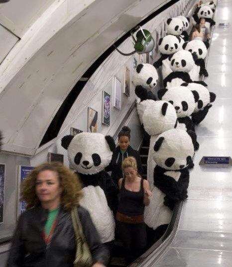 панды в метро ростовая кукла